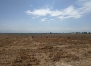 Satılır 2500 sot torpaq Xudat