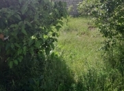 Satılır 3 sot torpaq Sulutəpə