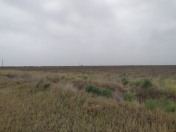 Satılır 10000 sot torpaq Sabirabad