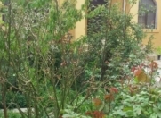 Satılır 4 otaqlı 185 m2 həyət evi Zabrat 2