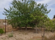 Satılır 32 sot torpaq Abşeron r.