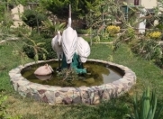 İcarəyə verilir 6 otaqlı 250 m2 bağ evi Bilgəh