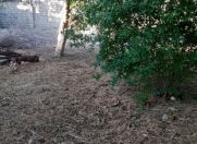 Satılır 2 sot torpaq Sumqayıt