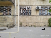 İcarəyə verilir 2 otaqlı 56 m2 köhnə tikili Rəsulzadə