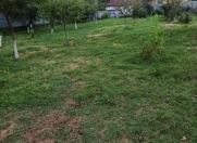 Satılır 6 sot torpaq Qəbələ