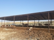 Satılır 150 sot torpaq Perekeşkül