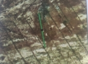 Satılır 1 sot torpaq Xızı