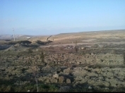 Satılır 500 sot torpaq Perekeşkül