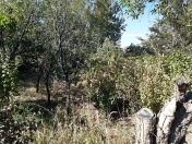 Satılır 5 sot torpaq Naxçıvan