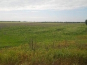 Satılır 42 sot torpaq Bilgəh