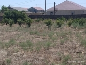 Satılır 12 sot torpaq Qala