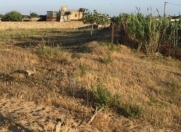 Satılır 8 sot torpaq Albalı