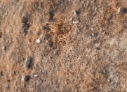 Satılır 400 sot torpaq Güzdək