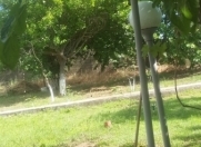 İcarəyə verilir 5 otaqlı 280 m2 bağ evi Novxanı