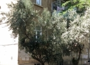 İcarəyə verilir 2 otaqlı 40 m2 köhnə tikili Nəsimi bazarı