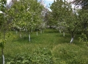 Satılır 15 sot torpaq Qusar