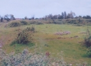 Satılır 12 sot torpaq Lənkəran