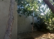 Satılır 3 otaqlı 400 m2 həyət evi Savalan