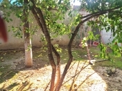 Satılır 12 sot torpaq Badamdar