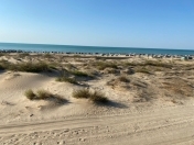 Satılır 24 sot torpaq Pirşağı