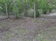 Satılır 3 sot torpaq Xudat