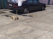 Satılır 3 otaqlı 85 m2 həyət evi NZS