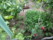 Satılır 7 sot torpaq Xırdalan