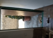Satılır 3 otaqlı 100 m2 bağ evi Buzovna