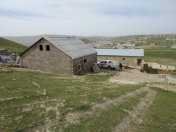 Satılır 100 sot torpaq Qobu