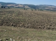 Satılır 155 sot torpaq İsmayıllı