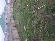 Satılır 3 sot torpaq Binə