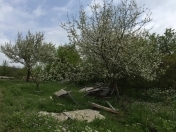 Satılır 11 sot torpaq Şamaxı