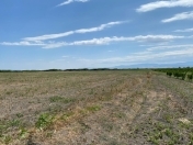 Satılır 800 sot torpaq Xaçmaz