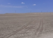 Satılır 100 sot torpaq Qobu