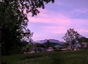 Satılır 40 sot torpaq Qəbələ