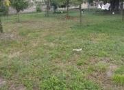 Satılır 10 sot torpaq Balakən