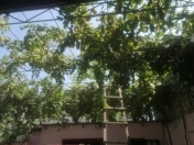 Satılır 3 otaqlı 102 m2 bağ evi Y.Ramana