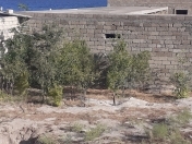 Satılır 3 sot torpaq Hövsan