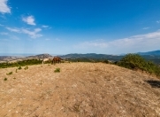 Satılır 310 sot torpaq Quba