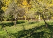 Satılır 6 sot torpaq Quba