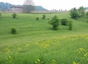 Satılır 40 sot torpaq Quba