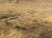 Satılır 9 sot torpaq Xocəsən