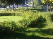 Satılır 6 sot torpaq Azadlıq prospekti m.