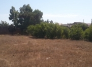 Satılır 19 sot torpaq Türkan