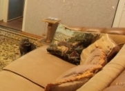 İcarəyə verilir 2 otaqlı 40 m2 köhnə tikili 1 mkr