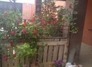 Satılır 7 otaqlı 400 m2 bağ evi Novxanı