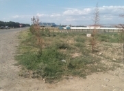 Satılır 2 sot torpaq Tovuz