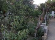 Satılır 5 otaqlı 140 m2 bağ evi Saray