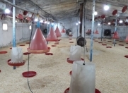 İcarəyə verilir 2 otaqlı 420 m2 obyekt Maştağa