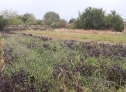 Satılır 10 sot torpaq Bilgəh